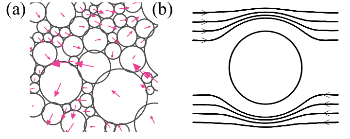 Shear flows in polydisperse simulations